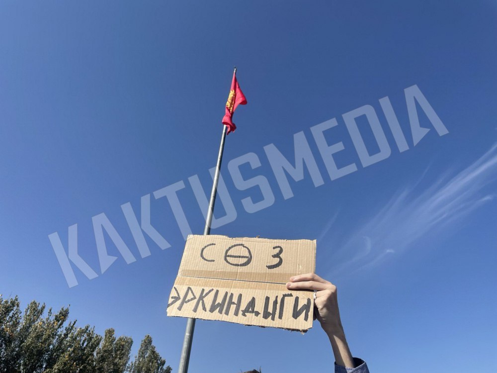 Появилась петиция в защиту свободы слова в Кыргызстане