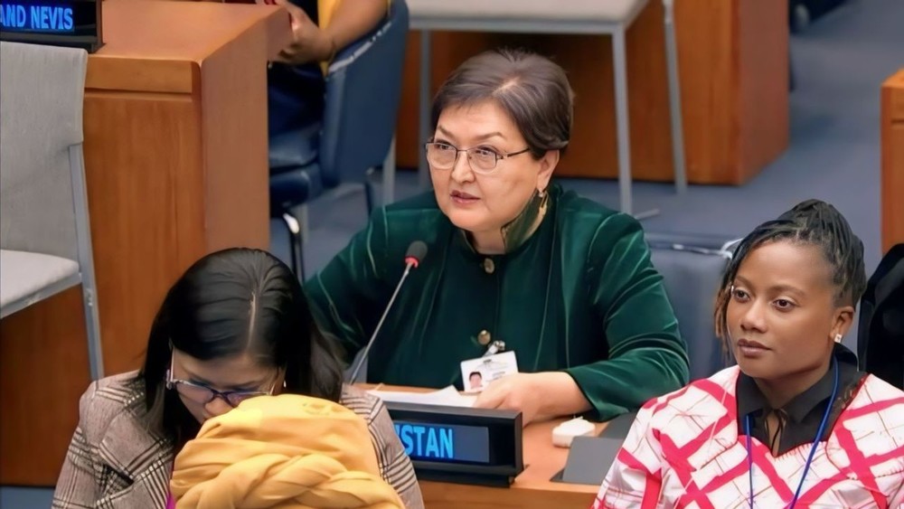 Министр труда Кыргызстана выступила на круглом столе ООН о финансовой поддержке гендерного равенства