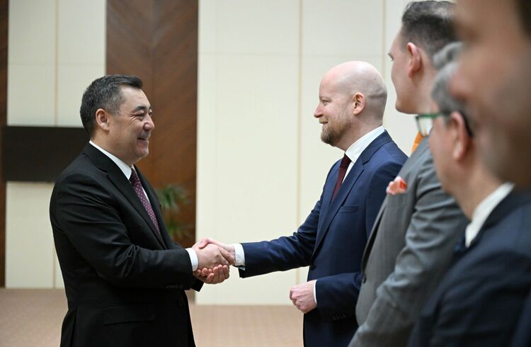 Садыр Жапаров и депутаты Европарламента обсудили свободу слова и права человека